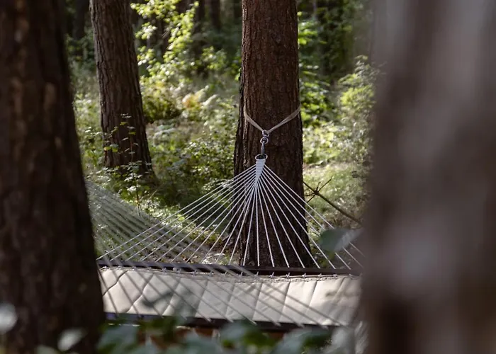 Szálloda Gradiali Wellness And Palanga